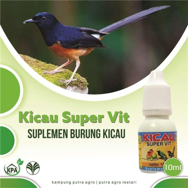 Daftar Gacor Dipercaya: Pilihan Terbaik untuk Suara Burung Anda